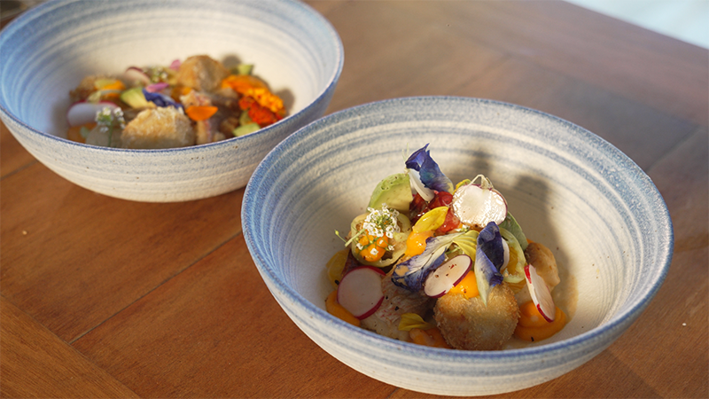 VIVANEAU & LÉGUMES DU FRIGO